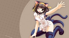 Anime anime girls suzumiya haruhi nekomimi animal ears the 