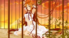 Anime anime girls sword art online yuuki asuna