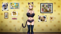 Anime anime girls the cat fairy tail animal ears Heartfilia Lucy
