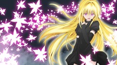 Anime anime girls to-love-ru