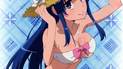 Anime anime girls toradora kawashima ami