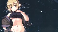 Anime anime girls touhou Mizuhashi Parsee