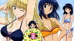 Anime anime girls tsukamoto tenma school rumble sawachika eri 