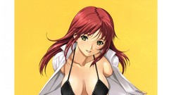 Anime anime girls yellow eyes redheads bikini artwork boobs 