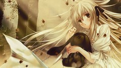 Anime anime girls yosuga no sora kasugano sora Sora (Kingdom 