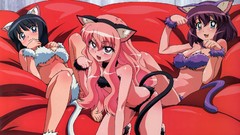 Anime anime girls zero no tsukaima animal ears Louise Françoise 