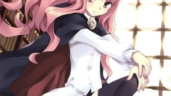 Anime anime girls zero no tsukaima scans Le Blanc