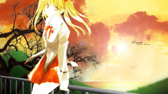 Anime animepaper school rumble