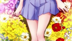 Anime araragi karen nisemonogatari