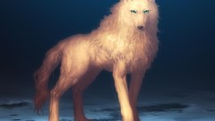 Anime artwork mahou tsukai no yoru