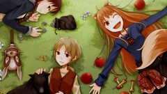 Anime backgrounds long hair spice and wolf animal ears Holo The 