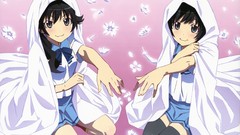 Anime bakemonogatari araragi karen monogatari-series 