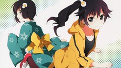 Anime bakemonogatari araragi karen monogatari-series 