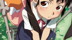 Anime bakemonogatari hachikuji mayoi monogatari-series
