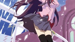 Anime bakemonogatari senjougahara hitagi