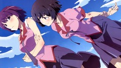 Anime bakemonogatari senjougahara hitagi hanekawa tsubasa 