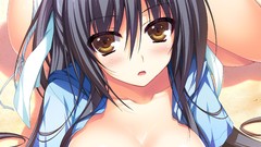 Anime Beaches akatsuki no goei cleavage bikini swimsuits