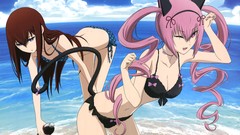 Anime Beaches anime girls animal ears makise kurisu steins gate 