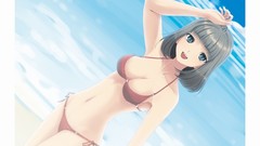 Anime Beaches anime girls ecchi bikini beach girls