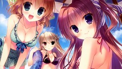 Anime Beaches blondes anime girls blue eyes brunettes ecchi 