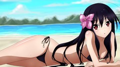 Anime Beaches blush long hair anime girls brown eyes accel 
