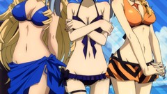 Anime Beaches infinite stratos bikini artwork Alcott Cecilia 