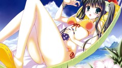 Anime Beaches nanao naru cleavage dengeki moeoh bikini erect 