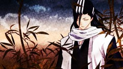 Anime bleach Kuchiki byakuya