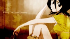 Anime bleach kuchiki rukia