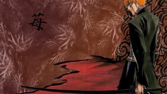 Anime bleach kurosaki ichigo