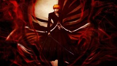 Anime bleach kurosaki ichigo