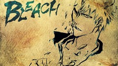 Anime bleach kurosaki ichigo Hollow Ichigo