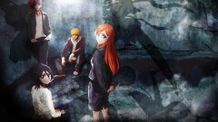 Anime bleach kurosaki ichigo kuchiki rukia shadow anime girls