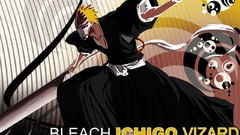 Anime bleach kurosaki ichigo Vizard hollow mask