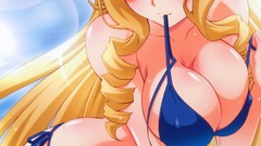 Anime blondes anime girls blue eyes infinite stratos cleavage 