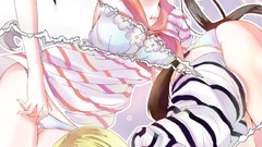 Anime blondes anime girls brunettes animal ears strike witches 