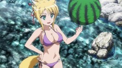 Anime blondes anime girls dog days artwork