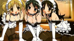 Anime blondes anime girls green eyes yellow eyes green hair 