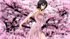 Anime blossoms bleach cherry blossoms kuchiki rukia
