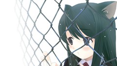 Anime blush anime girls open mouth nekomimi