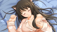 Anime blush long hair bakemonogatari animal ears boobs