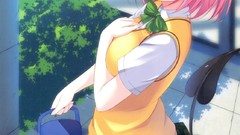 Anime blush school uniforms seifuku to-love-ru momo velia 