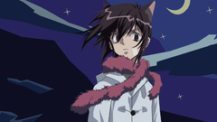 Anime boys Ritsuka Aoyagi