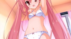 Anime bra ecchi panties Hidan Aria the Scarlet Ammo Kanzaki 