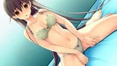 Anime brown long hair anime girls lingerie brunettes bra ecchi 