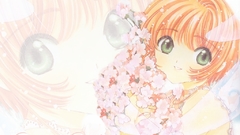 Anime cardcaptor sakura kinomoto