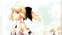 Anime Characters saber lily concept art artwork fate series