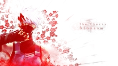 Anime cherry blossom red