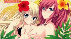 Anime chip long hair choco nude bikini boobs swimsuits erect 