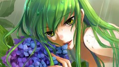 Anime code geass bare shoulders C & C